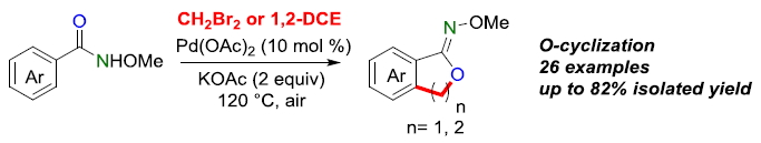 饶伟浩.jpg 饶伟浩.jpg